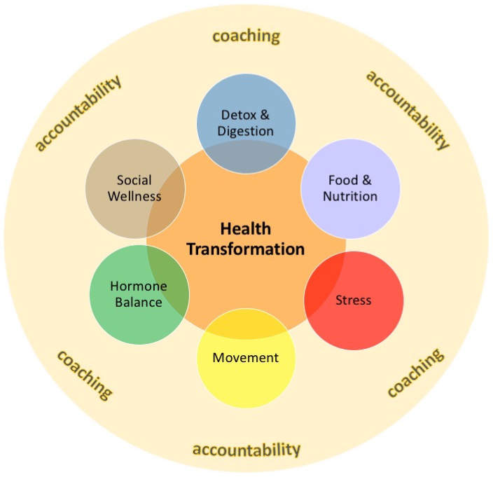 Circle with "Health Transformation" in the center. There are 5 smaller circles around big circle with wordings: "Detox &amp; Digestion", "Food &amp; Nutrition", "Stress", "Movement", "Hormone Balance", and "Social Wellness". Around these circles there are 2 words reapeted 3 times - "accountability" and "coaching".