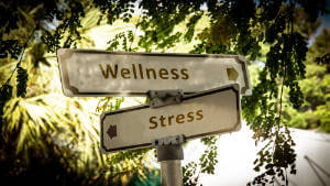 Street signs showing the directions to Wellness and Stress as opposed ways.